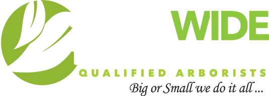 State Wide Tree Services Logo
